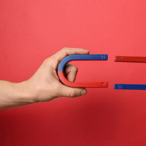lead magnet